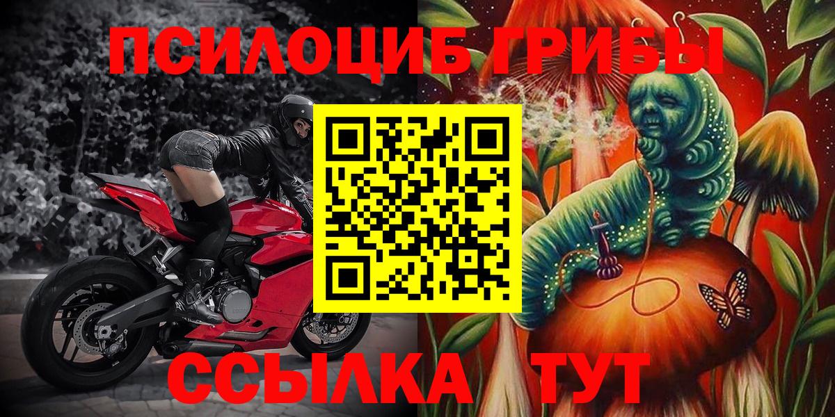 COCAIN Новороссийск