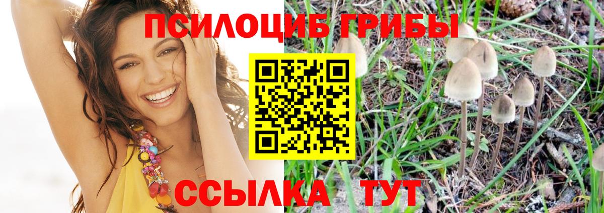 Галлюциногенные грибы прущие грибы  Вход с VPN  Новороссийск 
